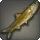 Mudfish - Fish - Items