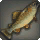 Niikwerepi Trout - Fish - Items
