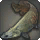 Qor Pirarucu - Fish - Items