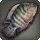 Severum - Fish - Items