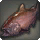 Shaaloani Salmon - Fish - Items