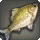 Starglass Gibel - Fish - Items