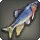 Ut'ohmu Dawnfish - Fish - Items