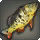 Yellow Peacock Bass - Fish - Items