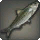 Akyaali Sardine - Fish - Items