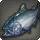 Alnairan Salmon - Miscellany - Items