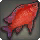 Atamra Cichlid - Fish - Items