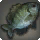 Bluegill - Fish - Items