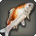 Brocade Carp - Fish - Items