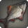 Chromatic Fish - Fish - Items