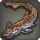 Cloudy Cat Shark - Fish - Items