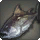 Daemir's Alloy - Fish - Items