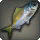 False Fusilier - Fish - Items