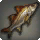 Fat Snook - Fish - Items