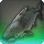 Fishy Shark - Fish - Items