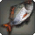 Forgeflame - Fish - Items