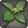 Fragrant Greens - Reagents - Items