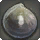Garlean Clam - Fish - Items