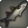 Grey Mullet - Fish - Items