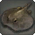 Hells' Cap - Fish - Items