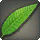 Island Palm Leaf - Miscellany - Items