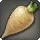 Island Parsnip - Miscellany - Items