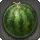 Island Watermelon - Miscellany - Items