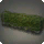 Low Garden Hedge - Furnishings - Items