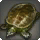Mayashell - Fish - Items