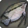 Mesonauta - Fish - Items