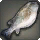 Natron Puffer - Fish - Items