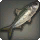 Northern Herring - Fish - Items