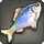Oil Slick - Fish - Items