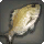 Onokoro Carp - Fish - Items