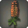 Orange Lupins - Miscellany - Items