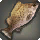 Pantherscale Grouper - Fish - Items