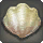 Pecten - Fish - Items