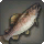 Princess Salmon - Fish - Items