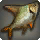Prochilodus Luminosus - Fish - Items