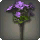 Purple Byregotia - Miscellany - Items