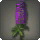 Purple Lupins - Miscellany - Items