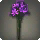 Purple Triteleia - Miscellany - Items