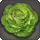 Rarefied Iceberg Lettuce - Miscellany - Items