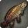 Red Bowfin - Fish - Items
