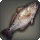 Red Drum - Fish - Items