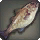 Shallows Cod - Fish - Items