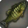 Striped Peacock Bass - Fish - Items