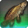 Swampsucker Bowfin - Fish - Items