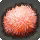 Tidal Dahlia - Fish - Items