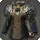 Unsung Armor of Asphodelos - Miscellany - Items